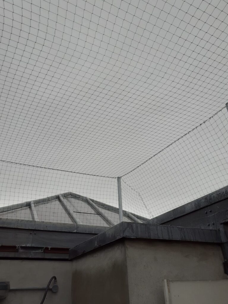 Bird netting