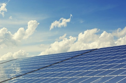 Solar Panel Bird Proofing
