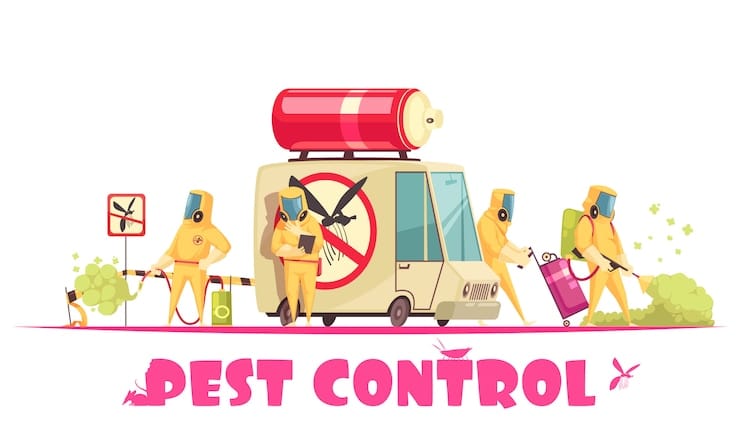 Just How Effective is Home Pest Control