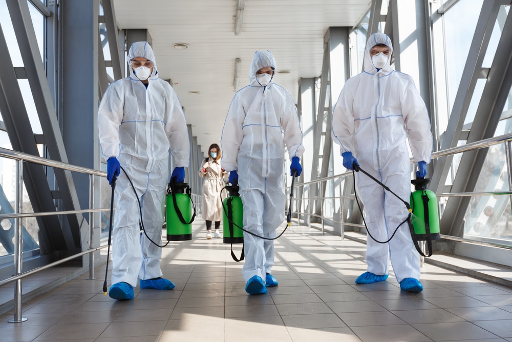 Pest Control Disinfection