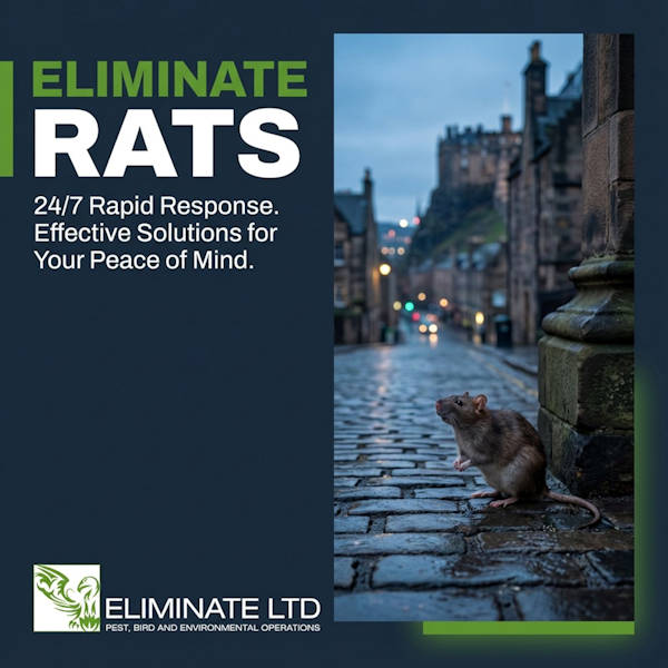 Eliminate Rats