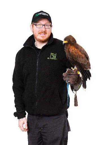 Falconry pest control in Edinburgh & Central Scotland